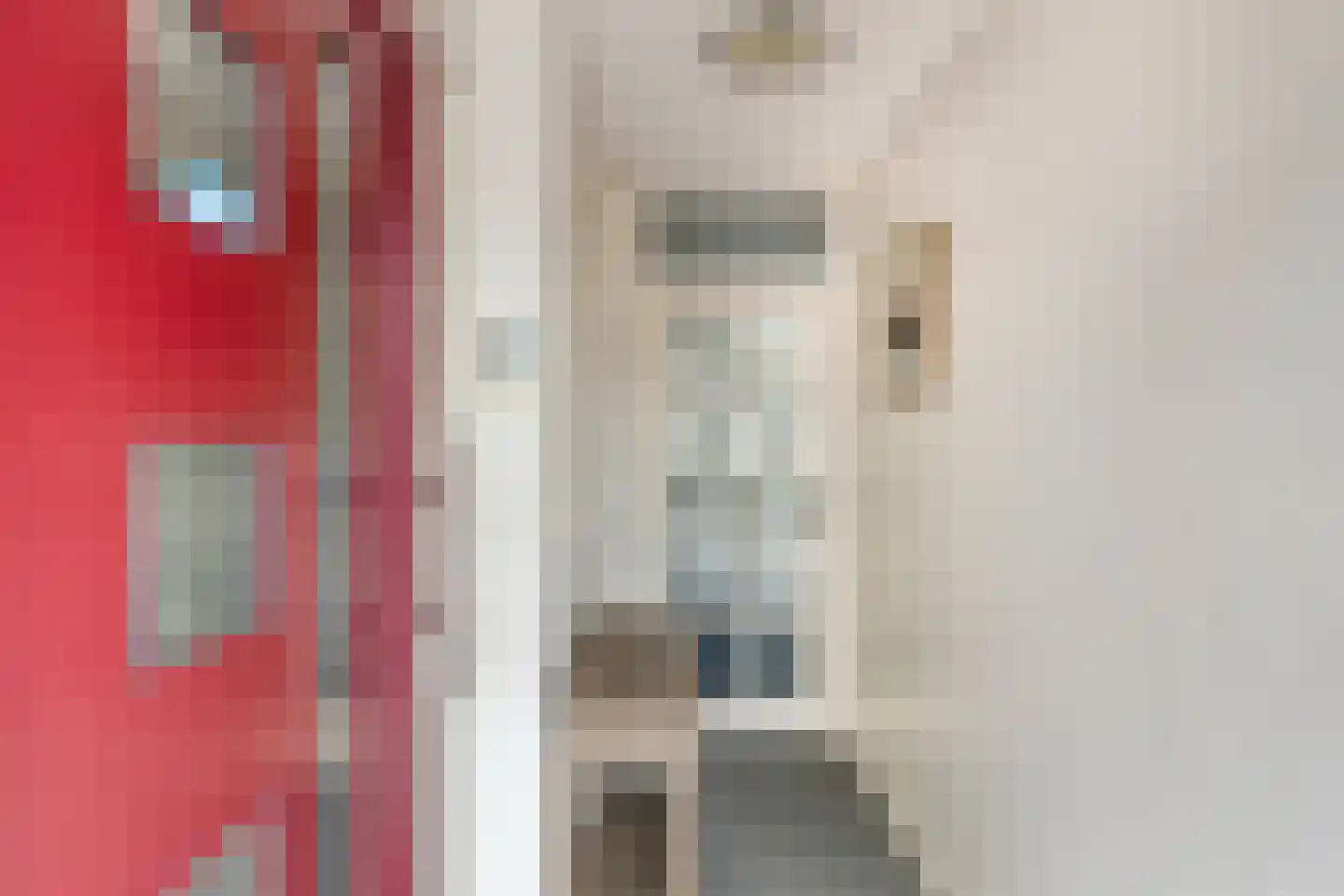 Wilgenlaan 61 Duiven thumbnail 8