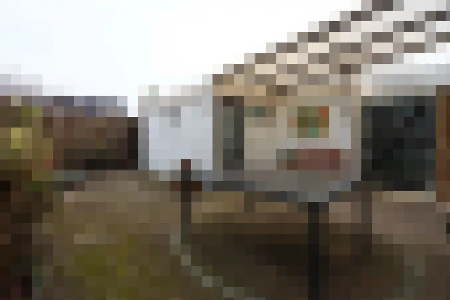 Wilgenlaan 9 Beek thumbnail 10