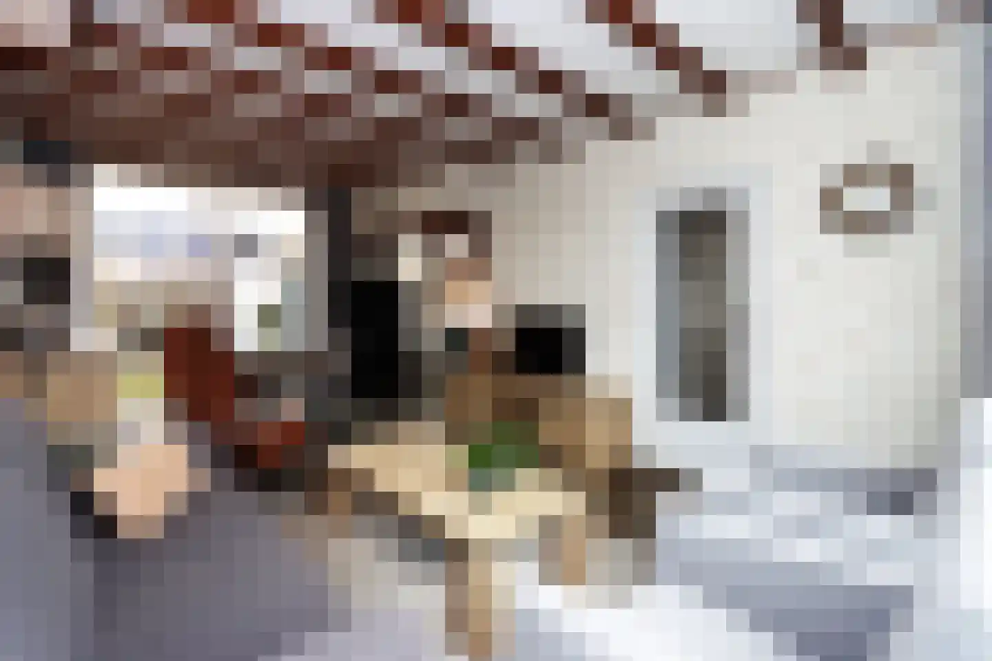Wilgenlaan 9 Beek thumbnail 15