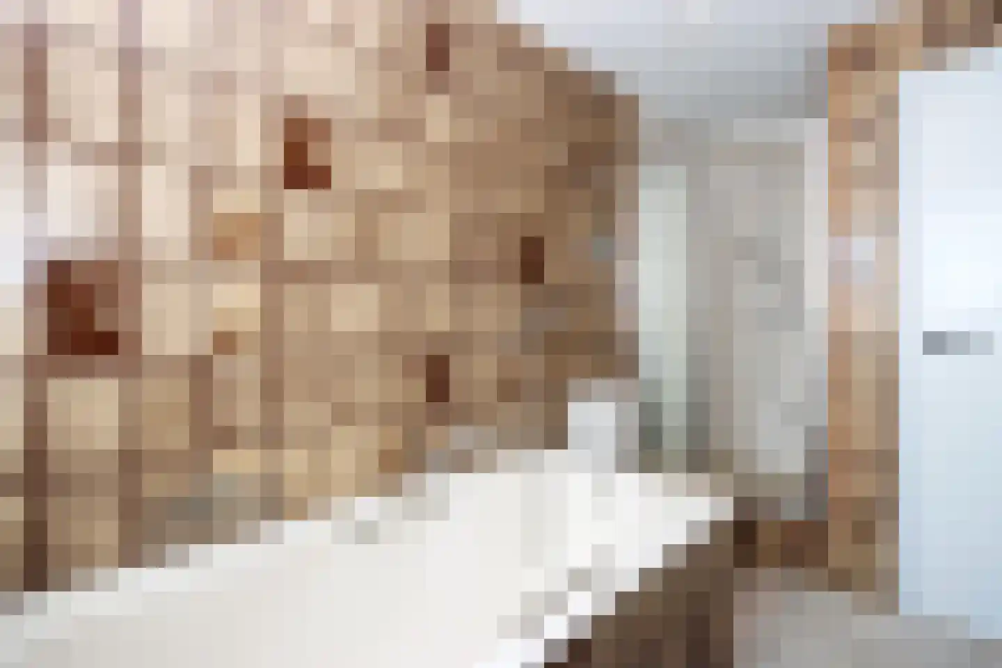 Wilgenlaan 9 Beek thumbnail 21