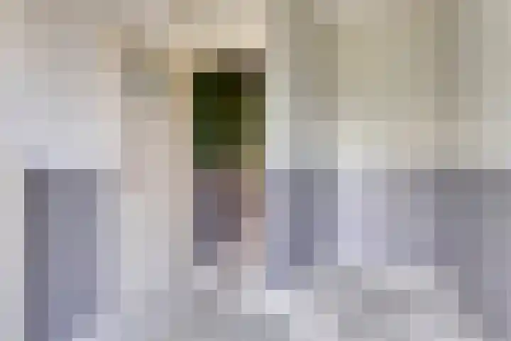 Wilgenlei 84 Rotterdam thumbnail 10