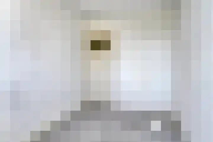 Wilgenlei 84 Rotterdam thumbnail 19