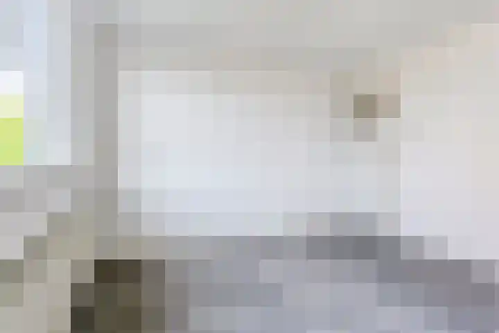 Wilgenlei 84 Rotterdam thumbnail 21
