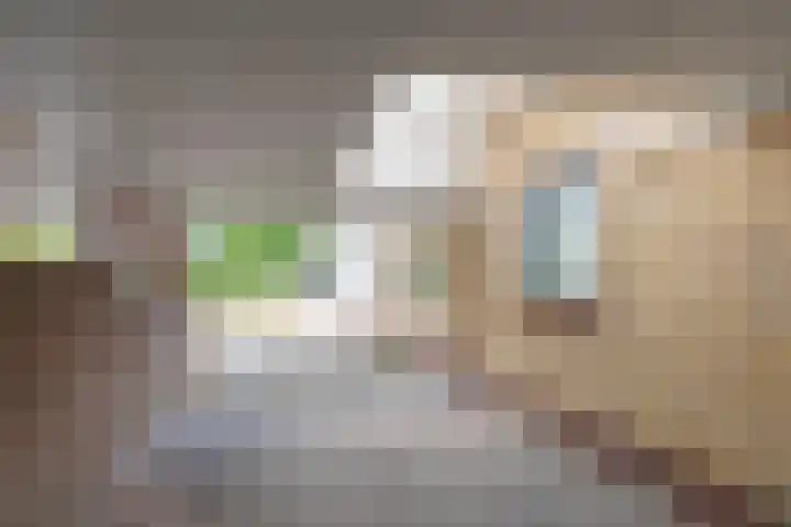 Wilgenoord 41 Bodegraven thumbnail 21