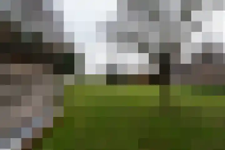 Wilgenoord 41 Bodegraven thumbnail 32