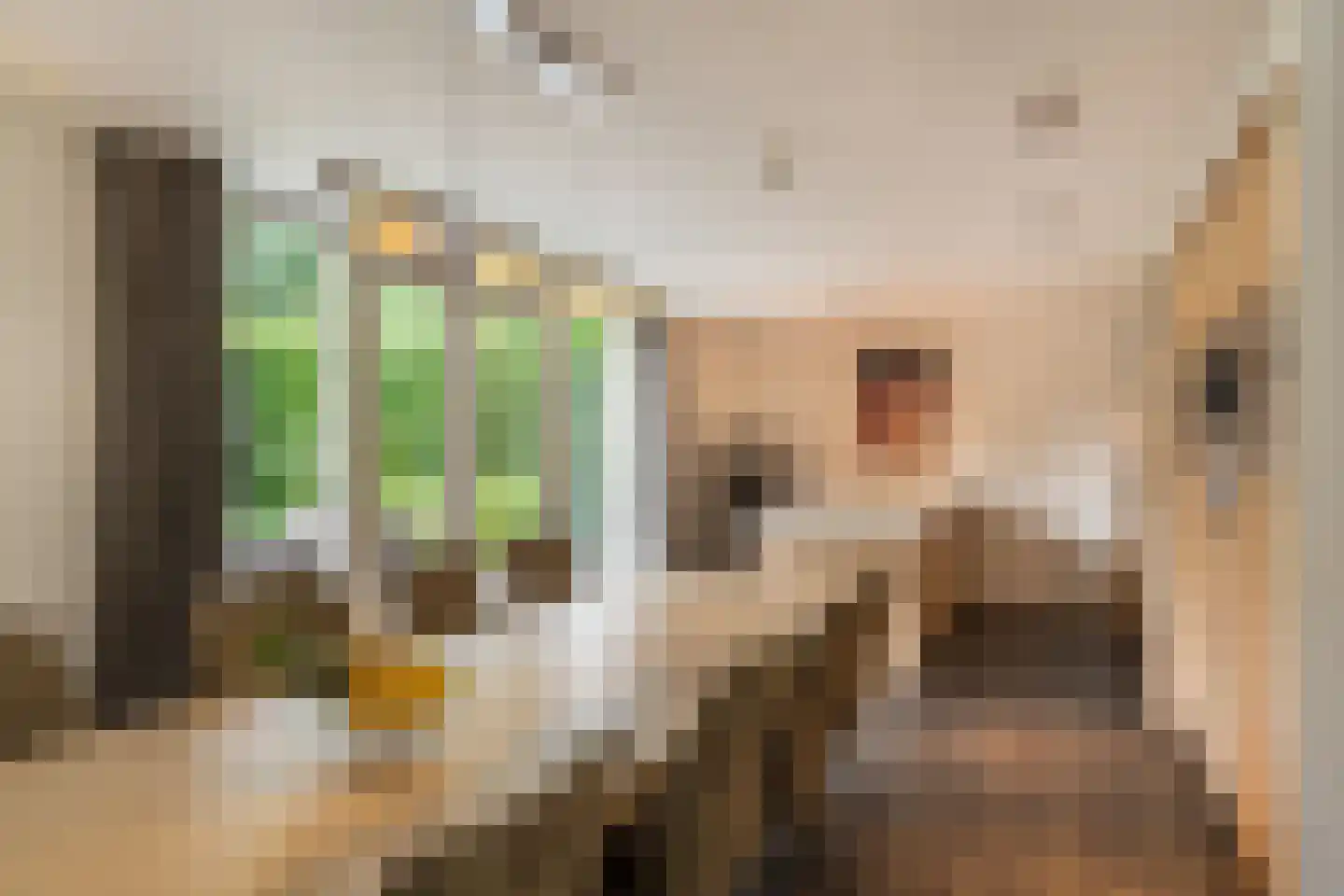 Wilgenpad 2 Den Dungen thumbnail 13