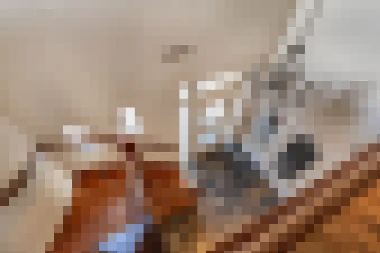 Wilgenpad 2 Den Dungen thumbnail 14
