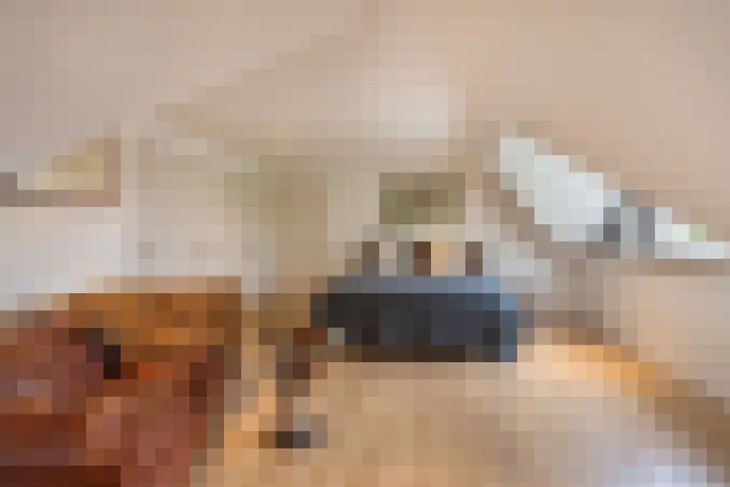 Wilgenpad 2 Den Dungen thumbnail 16