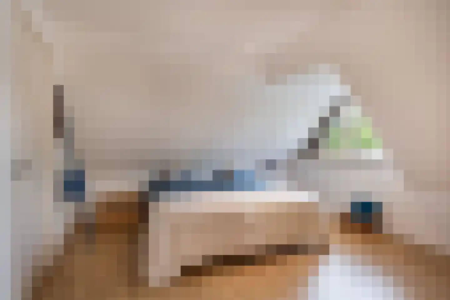 Wilgenpad 2 Den Dungen thumbnail 17
