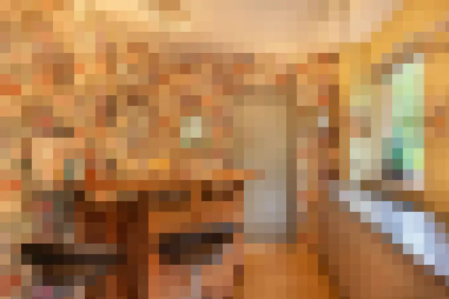 Wilgenpad 2 Den Dungen thumbnail 30