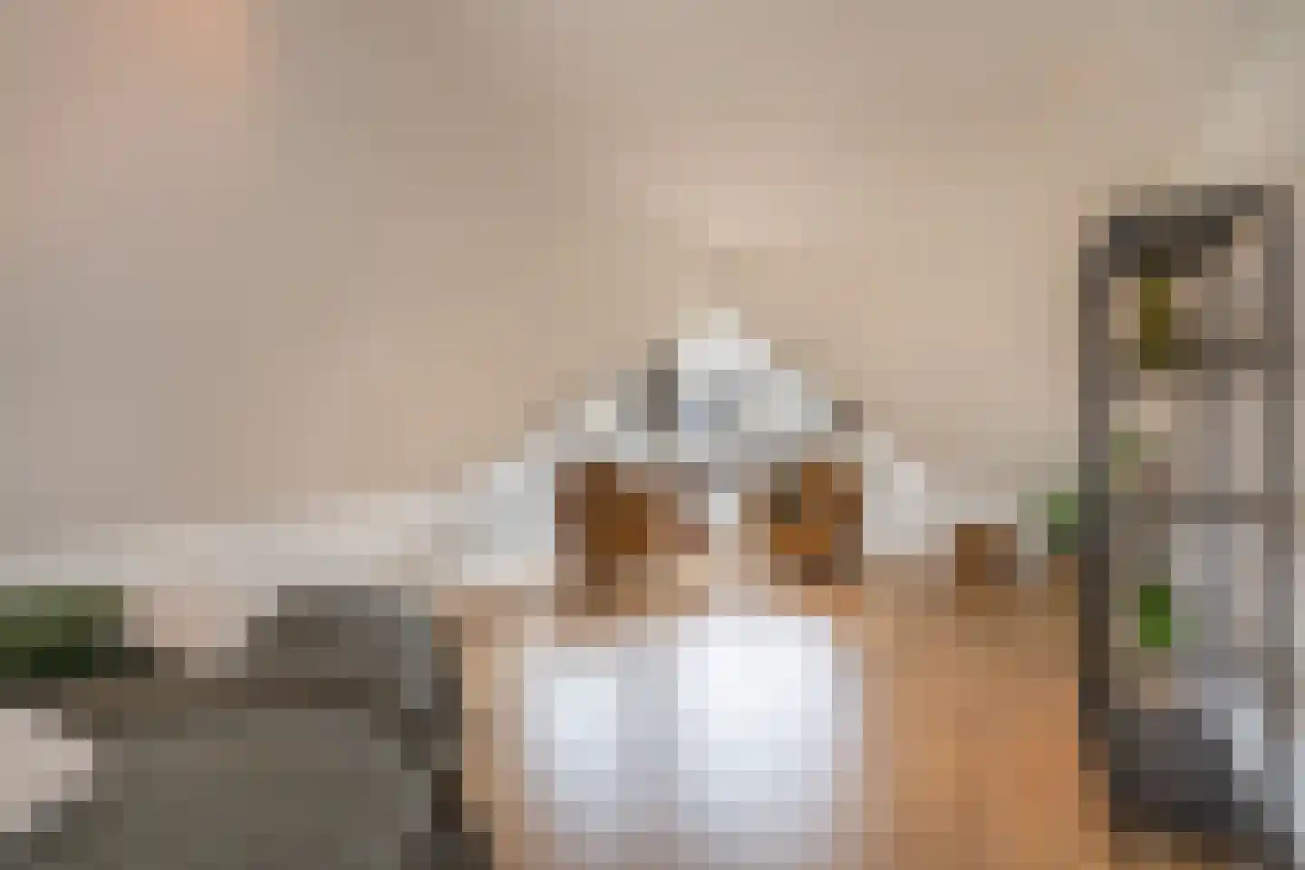 Wilgenpad 2 Den Dungen thumbnail 33