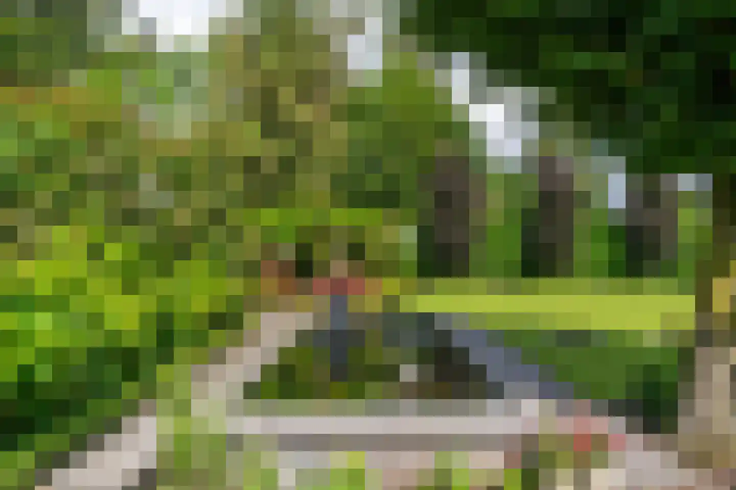 Wilgenpad 2 Den Dungen thumbnail 35