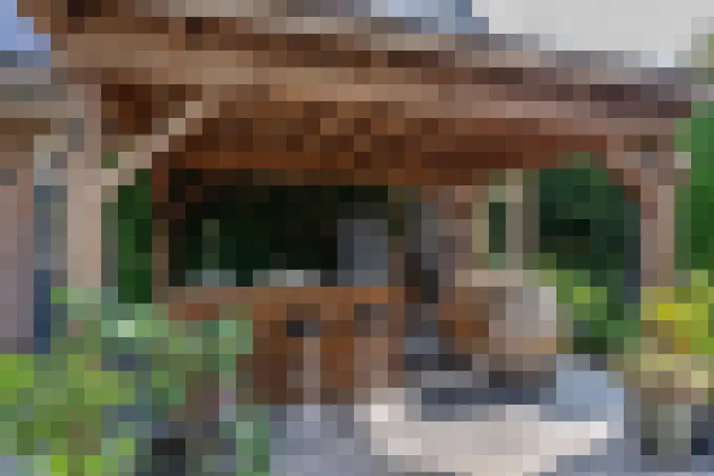 Wilgenpad 2 Den Dungen thumbnail 38