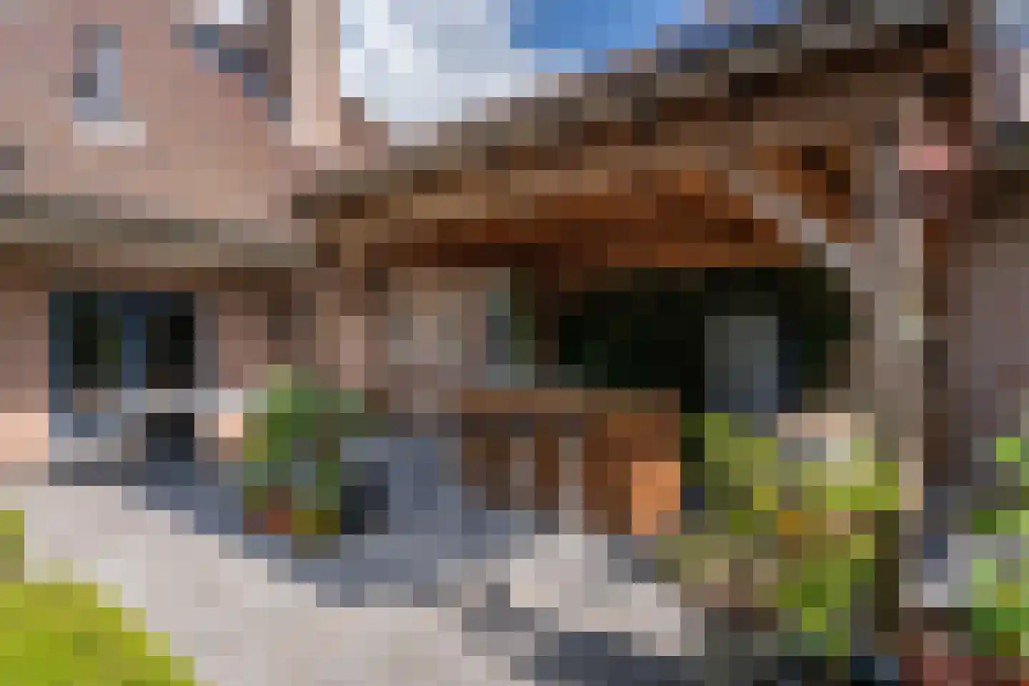 Wilgenpad 2 Den Dungen thumbnail 39