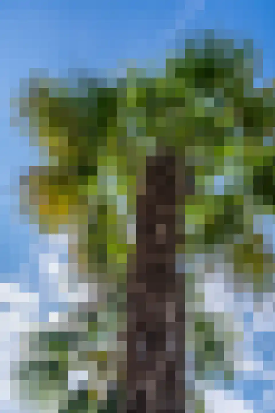 Wilgenpad 2 Den Dungen thumbnail 40