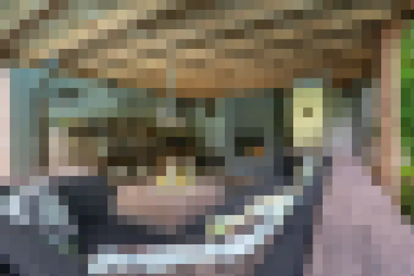 Wilgenpad 2 Den Dungen thumbnail 42
