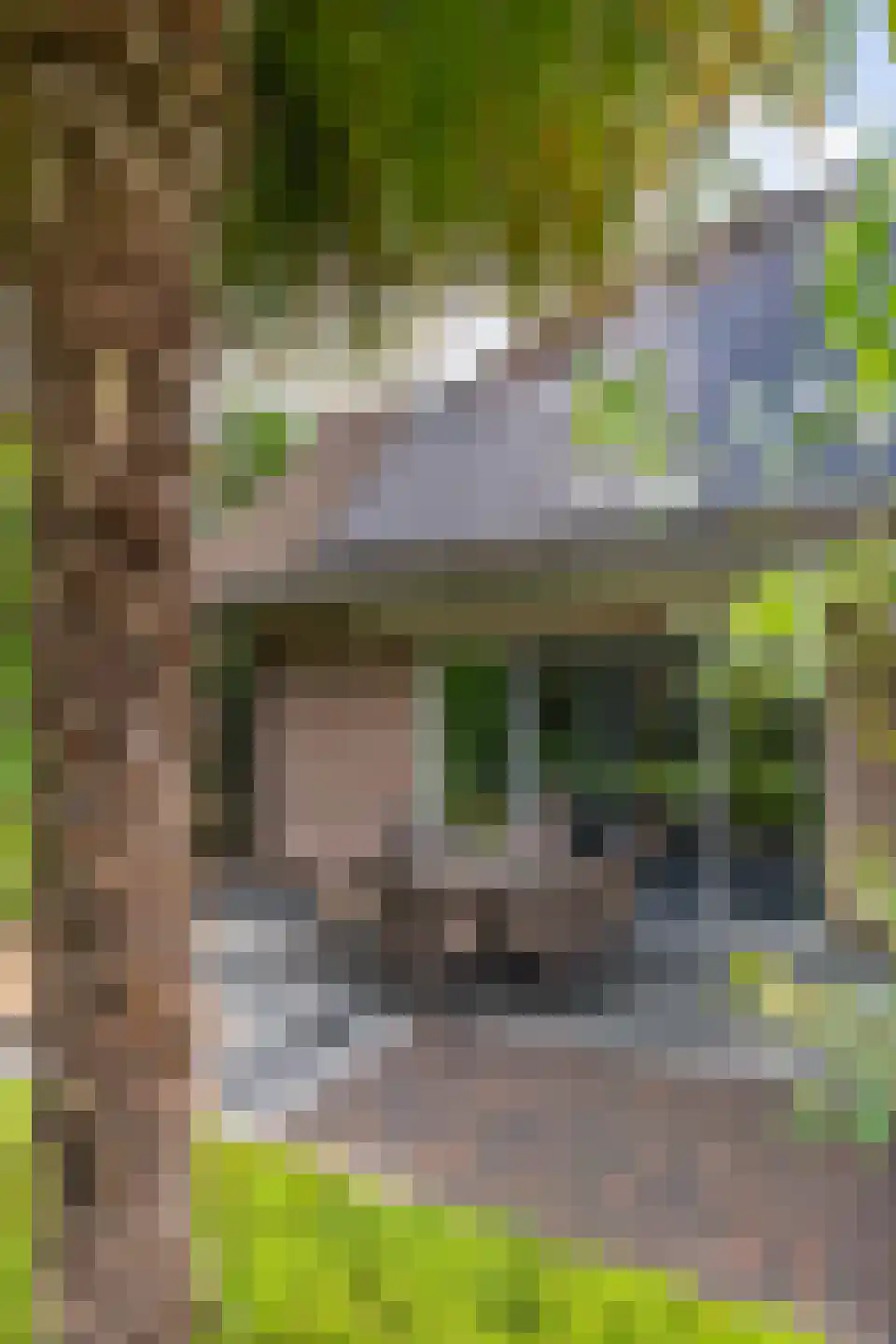 Wilgenpad 2 Den Dungen thumbnail 44