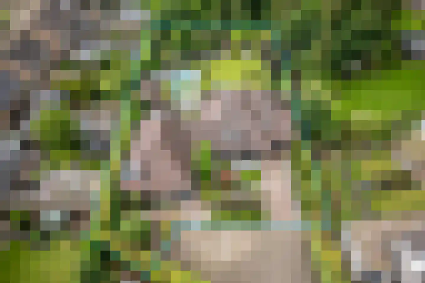 Wilgenpad 2 Den Dungen thumbnail 49
