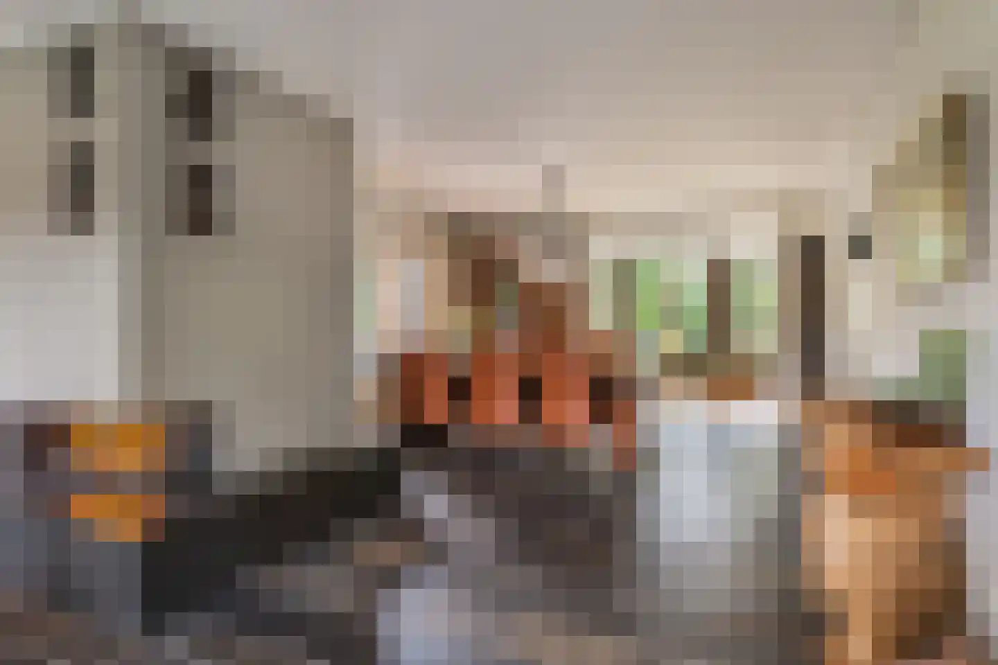 Wilgenpad 2 Den Dungen thumbnail 5
