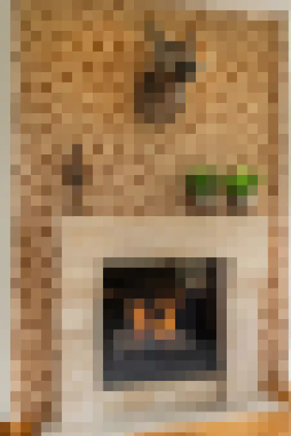 Wilgenpad 2 Den Dungen thumbnail 9