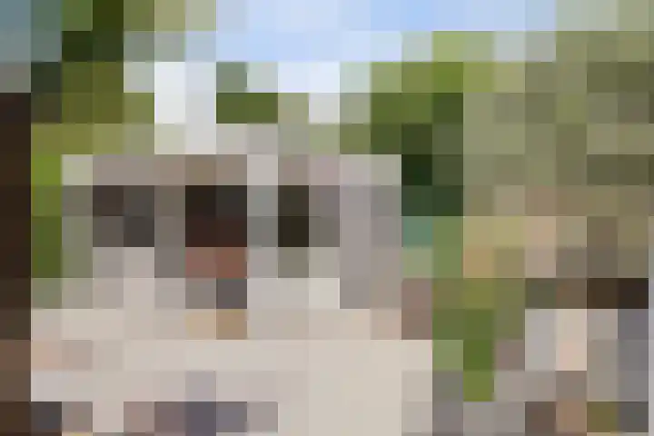 Wilgenpark 2 Leiderdorp thumbnail 33