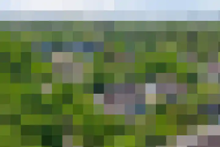 Wilgenpark 2 Leiderdorp thumbnail 46