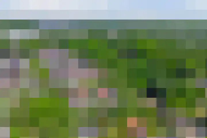 Wilgenpark 2 Leiderdorp thumbnail 49