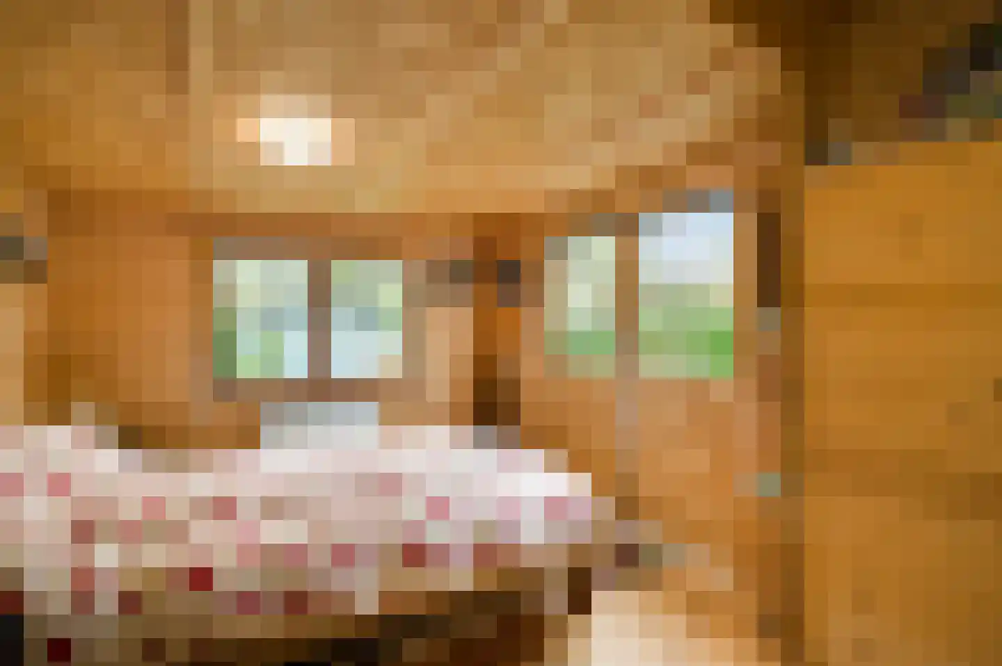 Wilgenpark 9 Leiderdorp thumbnail 32