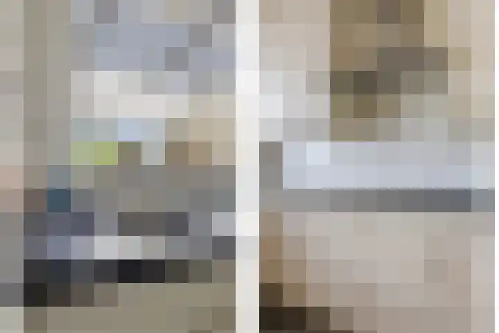 Wilgenstraat 2 Gemonde thumbnail 12