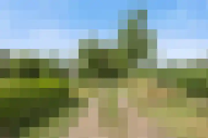 Wilgenstraat 2 Gemonde thumbnail 4