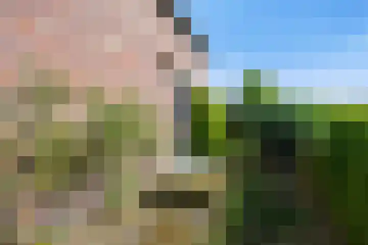 Wilgenstraat 2 Gemonde thumbnail 5