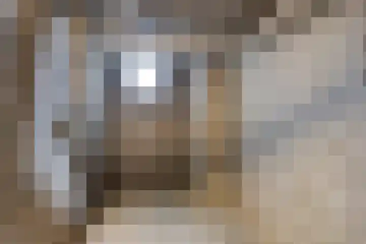 Wilgenstraat 21 Oss thumbnail 24
