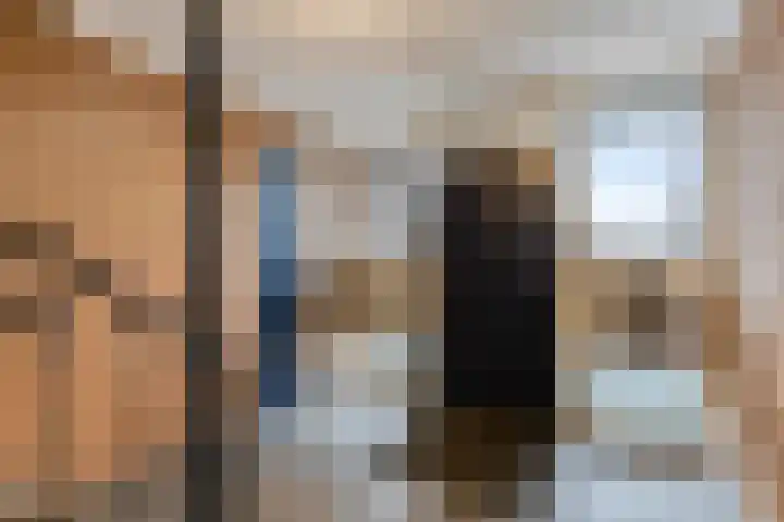 Wilgenstraat 21 Oss thumbnail 5