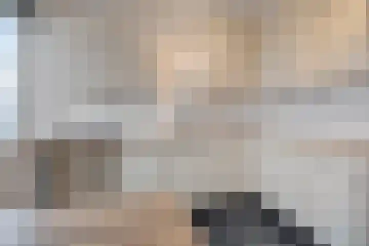 Wilgenstraat 21 Oss thumbnail 8
