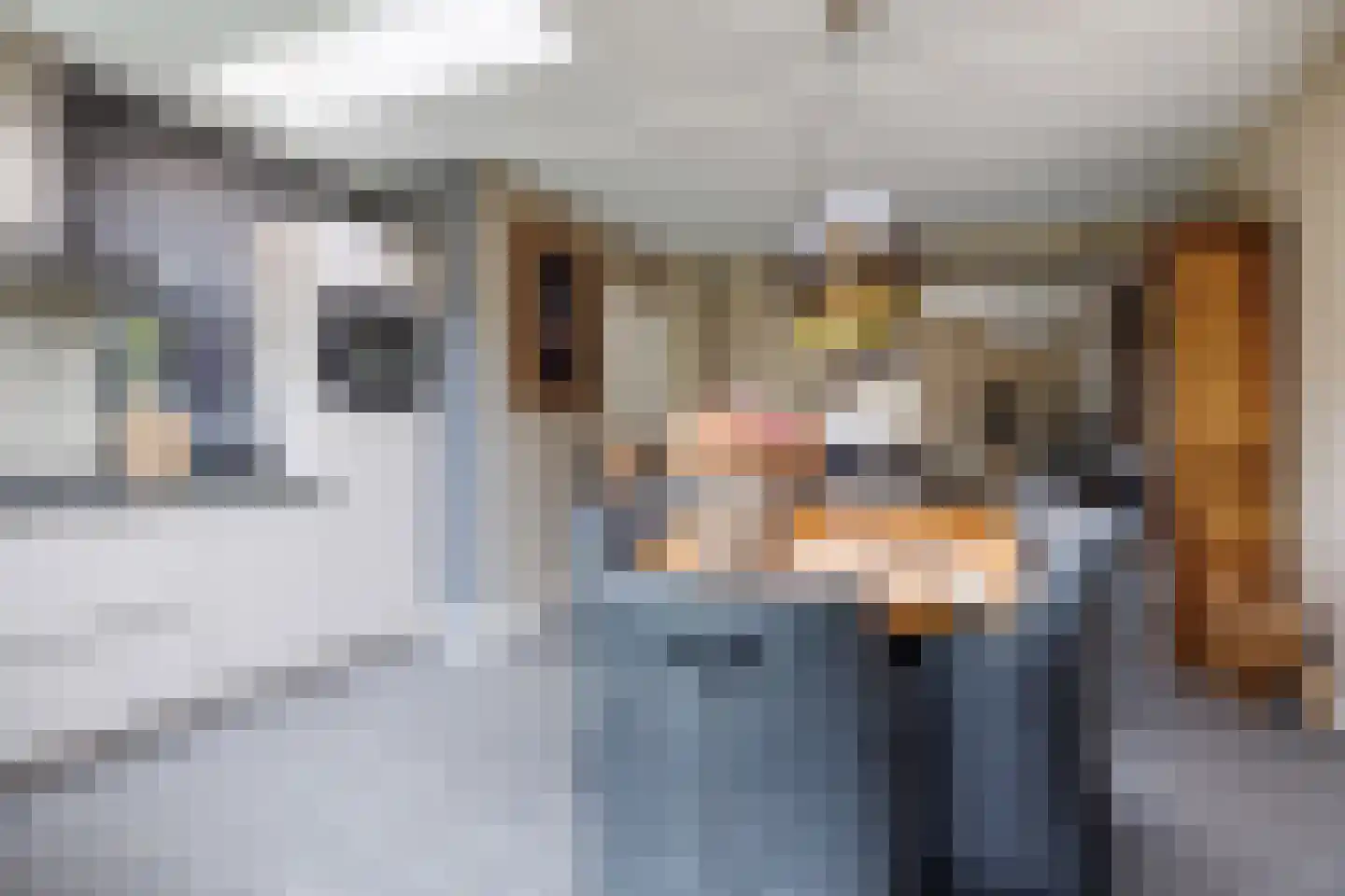 Wilgenstraat 27 Deest thumbnail 16