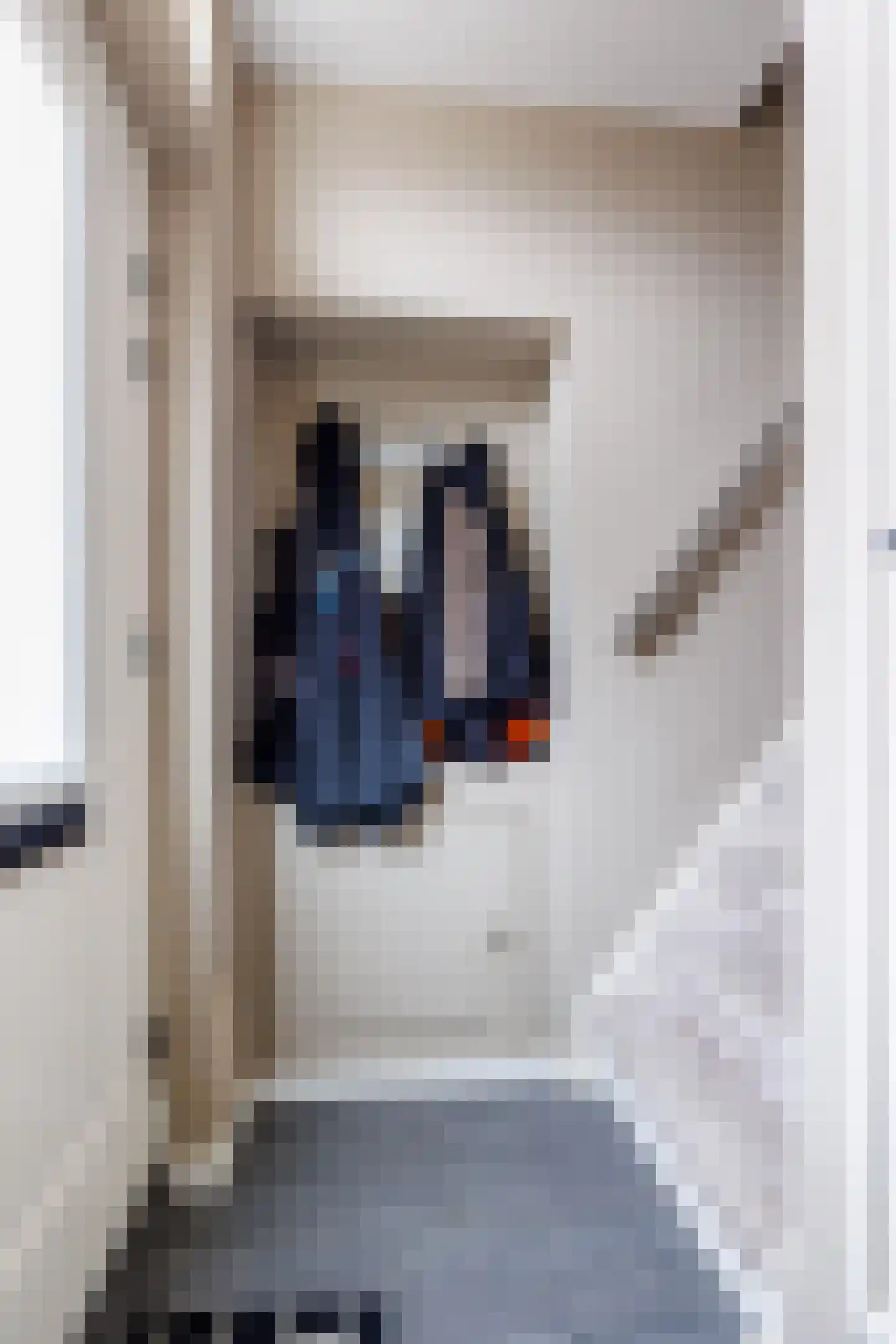 Wilgenstraat 27 Deest thumbnail 17