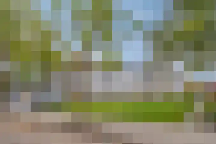 Wilgenstraat 4 D dans Goes