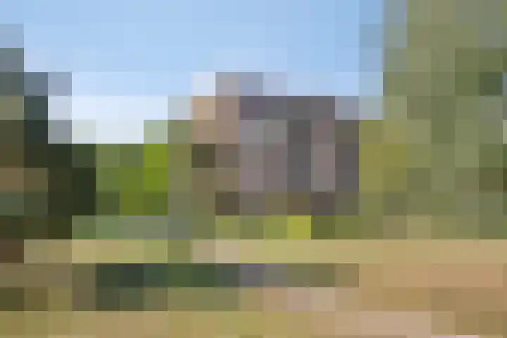 Wilgenstraat 43 Oss thumbnail 32