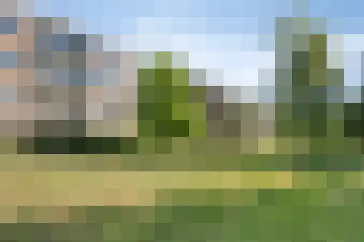 Wilgenstraat 43 Oss thumbnail 34