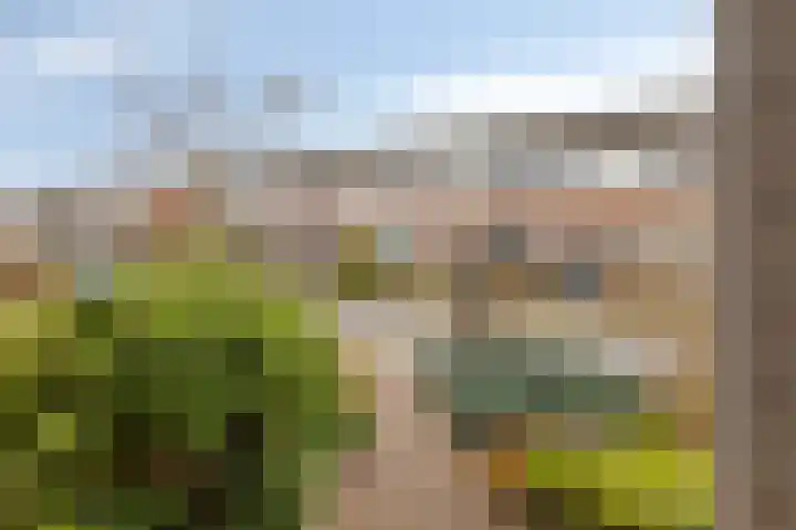 Wilgenstraat 5 Eibergen thumbnail 38