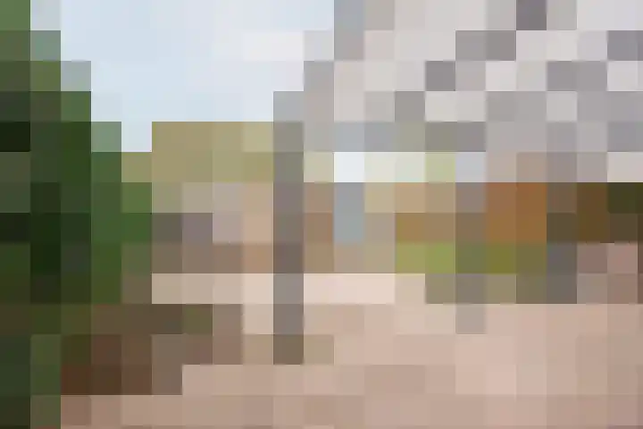 Wilgenstraat 9 Ulft thumbnail 31