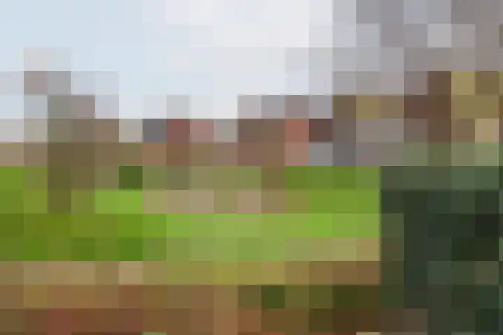 Wilgenstraat 9 Ulft thumbnail 38