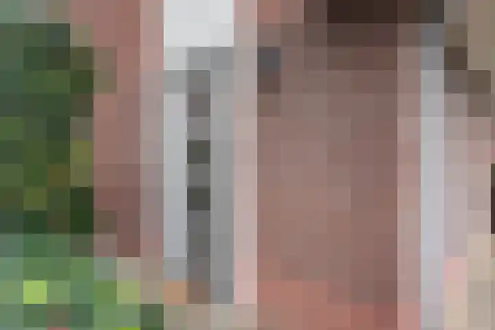 Wilgenstraat 9 Ulft thumbnail 5