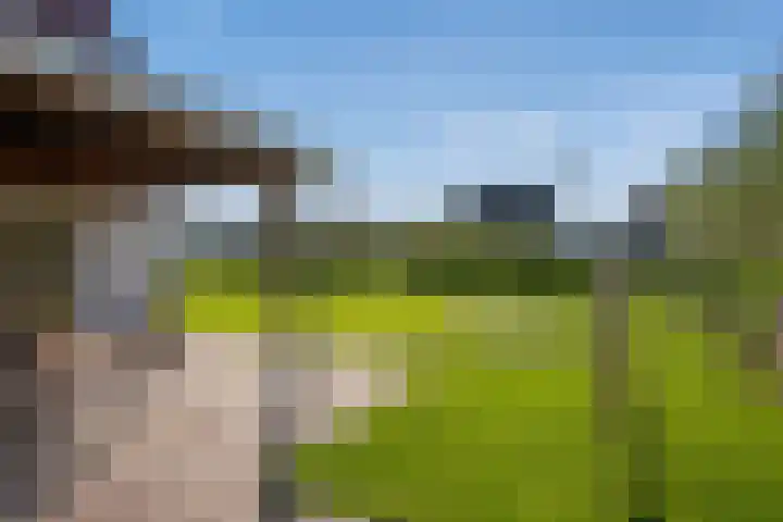 Wilgenweg 11 Pijnacker thumbnail 26