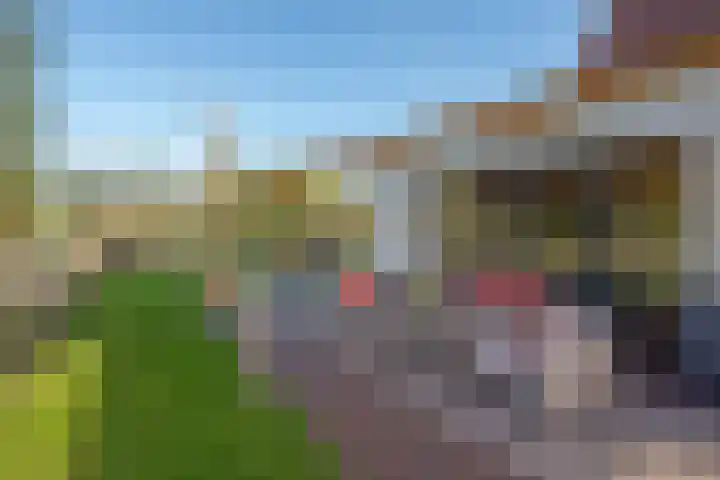Wilgenweg 11 Pijnacker thumbnail 28