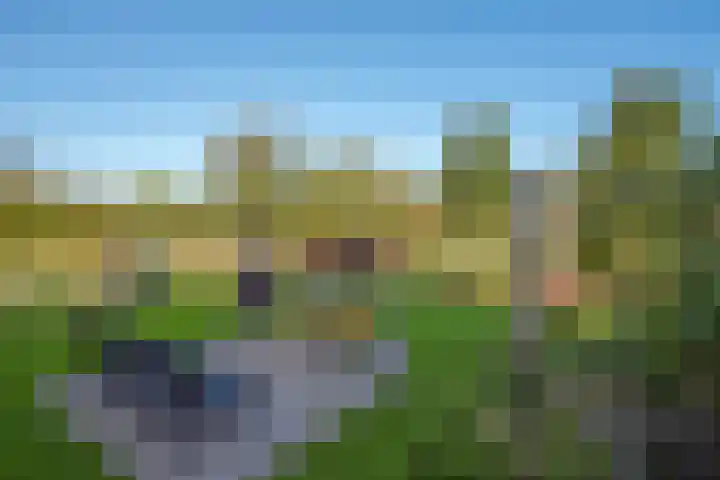 Wilgenweg 11 Pijnacker thumbnail 30