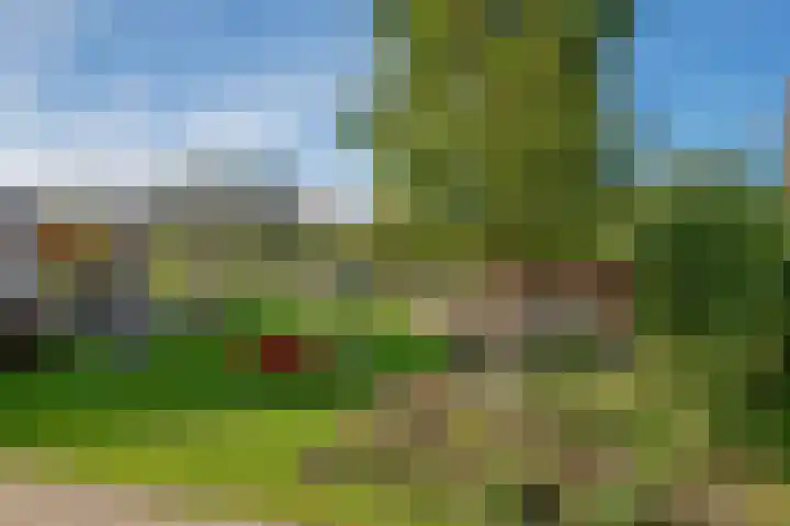 Wilgenweg 11 Pijnacker thumbnail 34