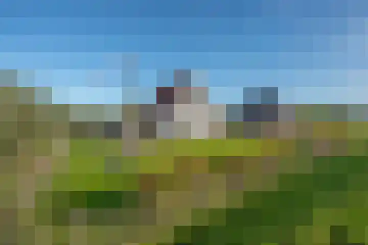 Wilgenweg 11 Pijnacker thumbnail 6