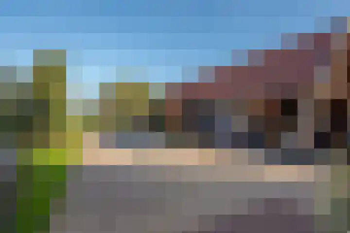 Wilgenweg 11 Pijnacker thumbnail 63