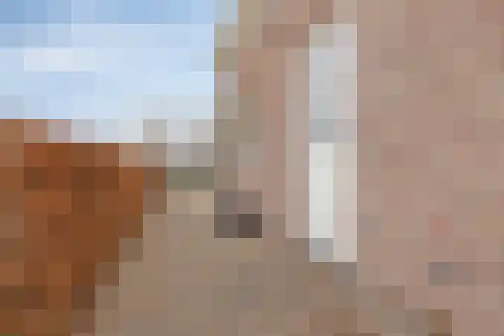 Wilgenweg 9 Pijnacker thumbnail 33